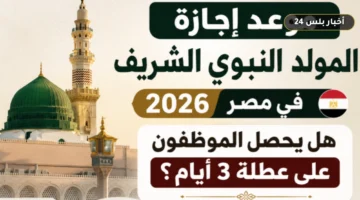 mwad ijazh almwld alnbwy